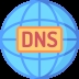 Manage DNS